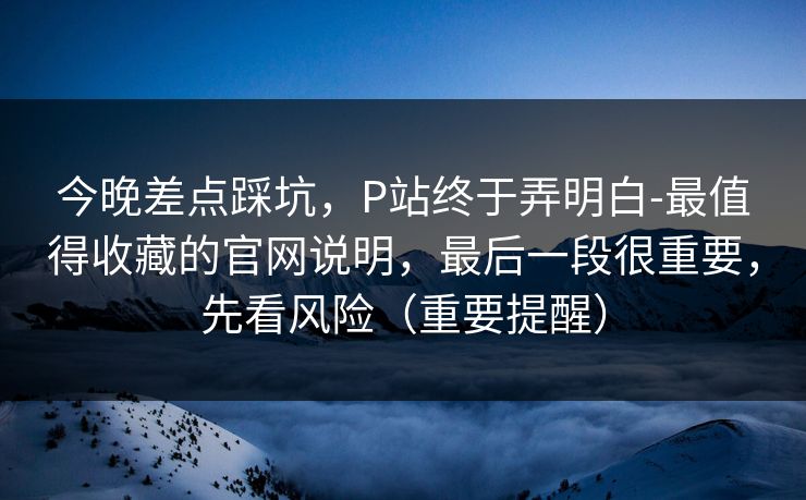 今晚差点踩坑，P站终于弄明白-最值得收藏的官网说明，最后一段很重要，先看风险（重要提醒）