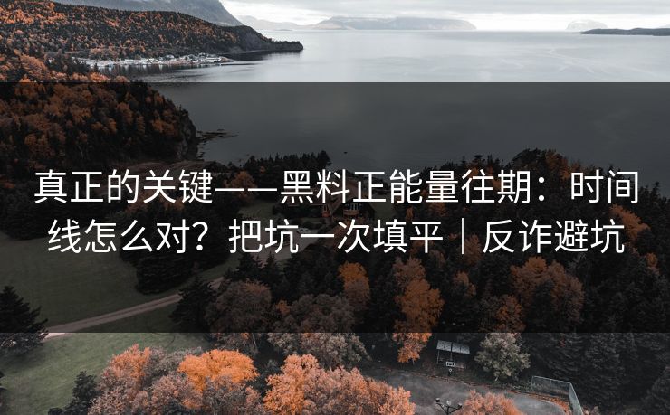真正的关键——黑料正能量往期：时间线怎么对？把坑一次填平｜反诈避坑