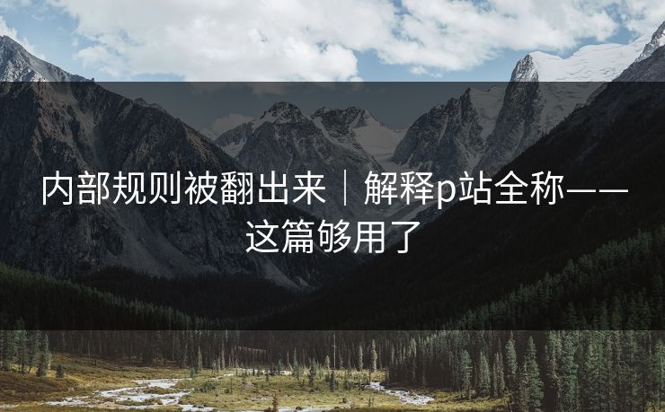 内部规则被翻出来｜解释p站全称——这篇够用了
