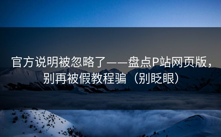 官方说明被忽略了——盘点P站网页版，别再被假教程骗（别眨眼）