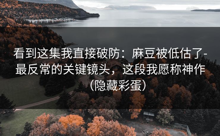 看到这集我直接破防：麻豆被低估了-最反常的关键镜头，这段我愿称神作（隐藏彩蛋）