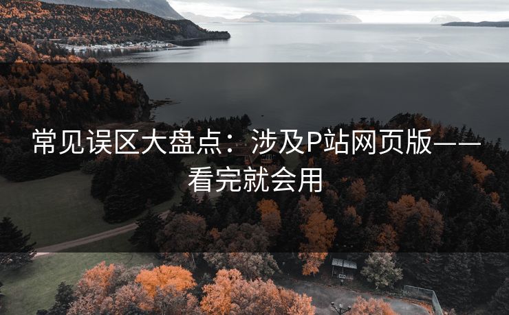 常见误区大盘点：涉及P站网页版——看完就会用