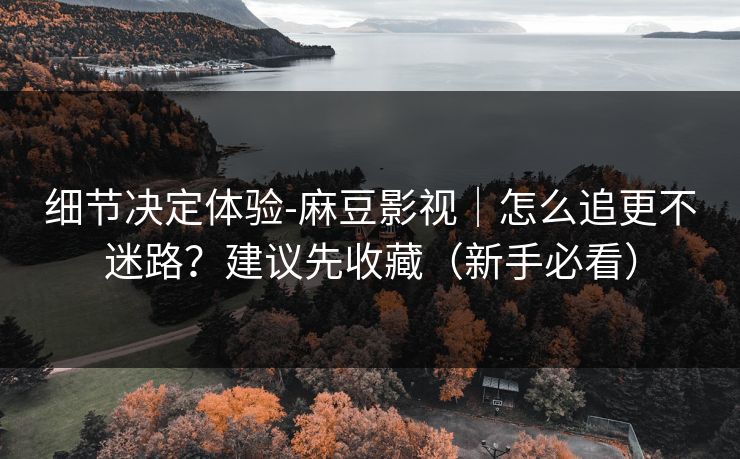 细节决定体验-麻豆影视｜怎么追更不迷路？建议先收藏（新手必看）