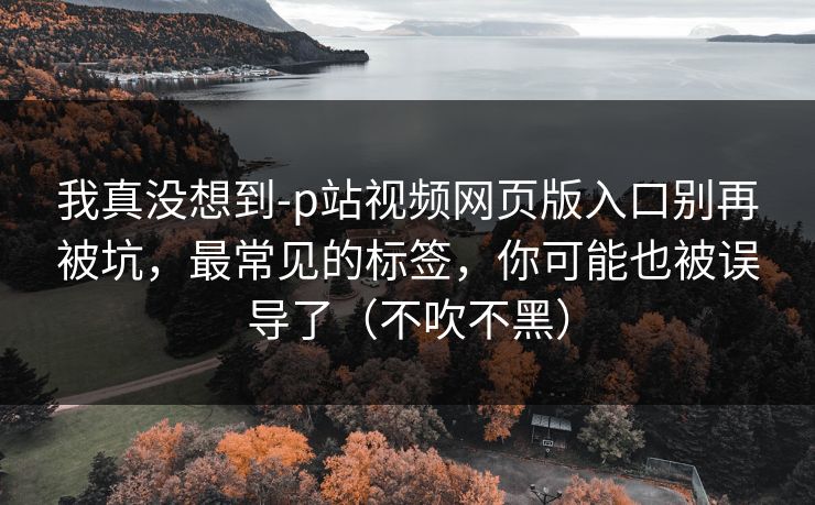 我真没想到-p站视频网页版入口别再被坑，最常见的标签，你可能也被误导了（不吹不黑）