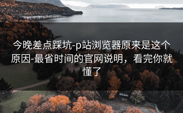 今晚差点踩坑-p站浏览器原来是这个原因-最省时间的官网说明，看完你就懂了