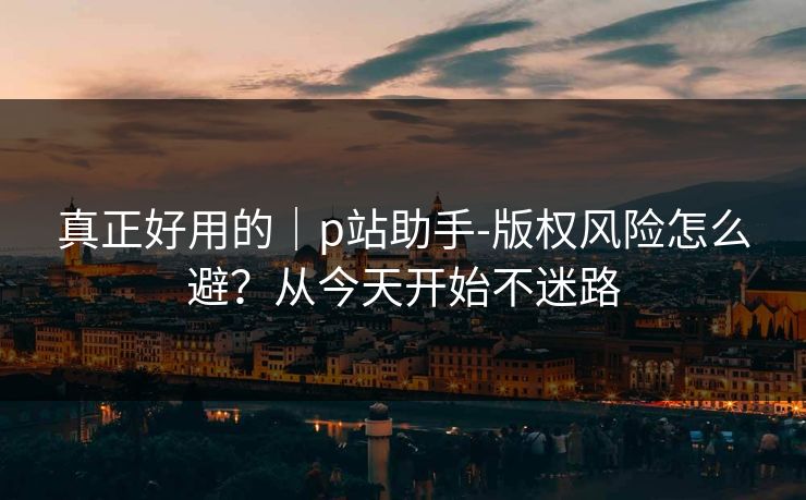 真正好用的｜p站助手-版权风险怎么避？从今天开始不迷路