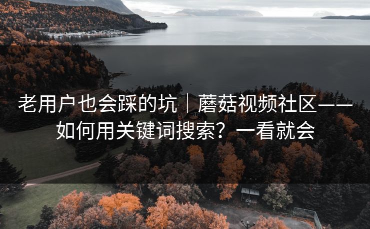 老用户也会踩的坑｜蘑菇视频社区——如何用关键词搜索？一看就会