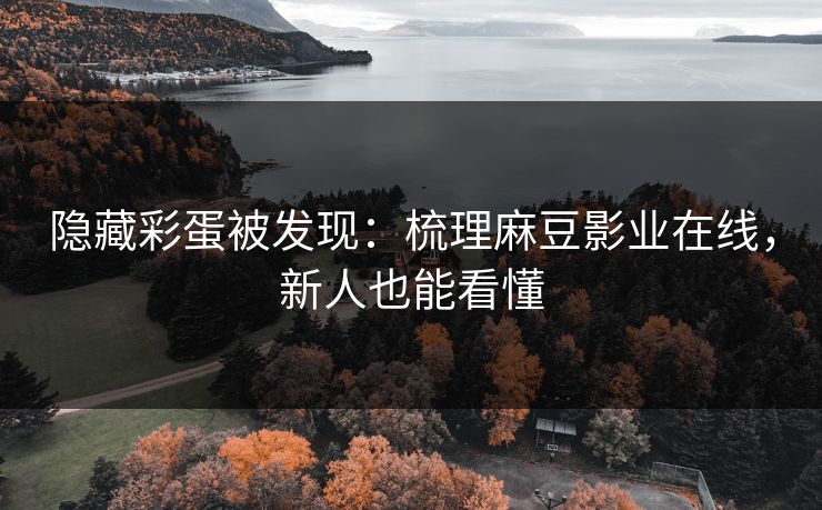 详细阅读:隐藏彩蛋被发现:梳理麻豆影业在线,新人也能看懂 隐藏彩蛋被发现:梳理麻豆影业在线,新人也能看懂
